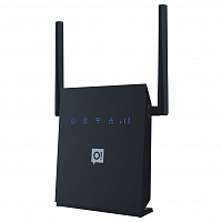 CPE Router